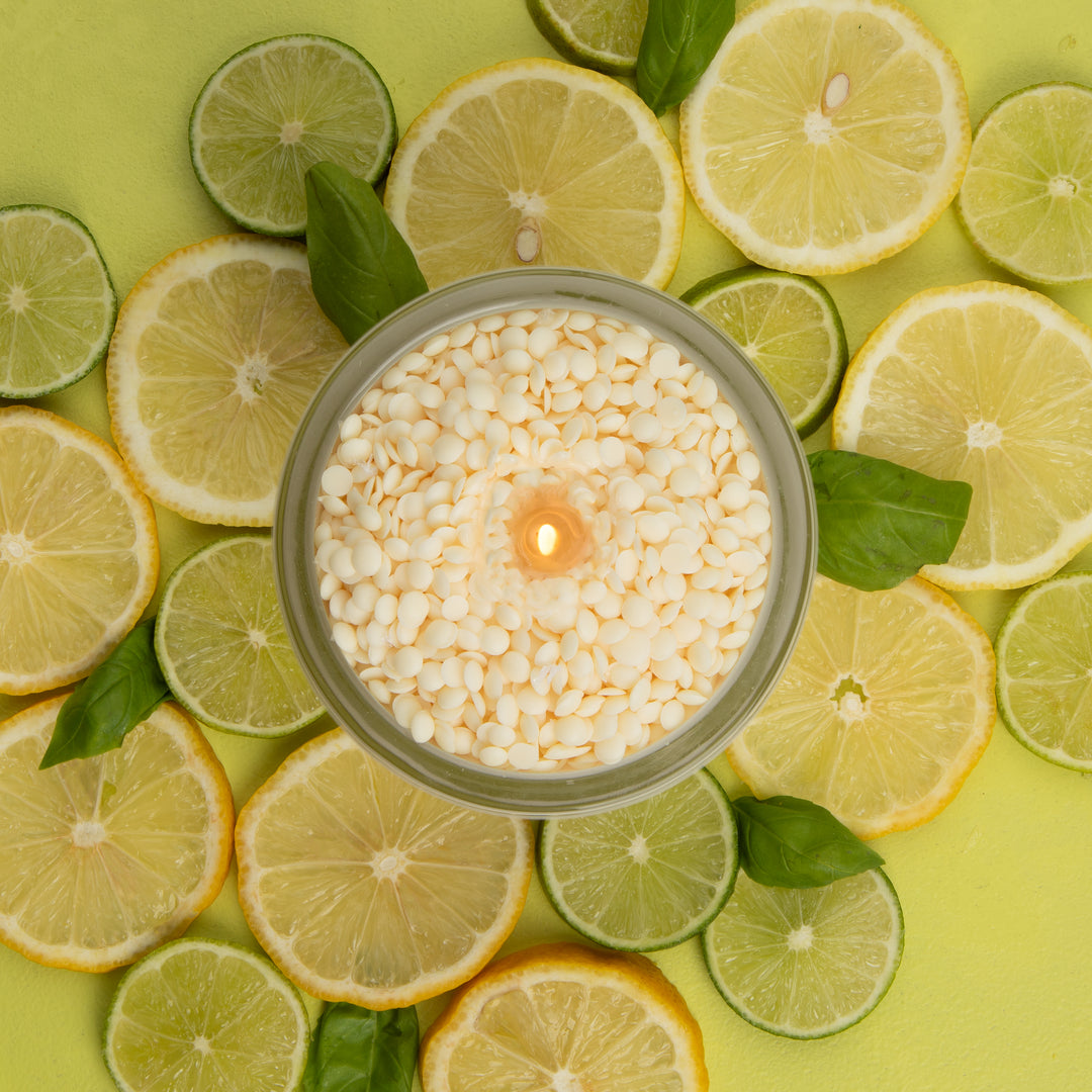 Sustainable Candle Refill Kit - NOTES Citrus & Fresh Basil